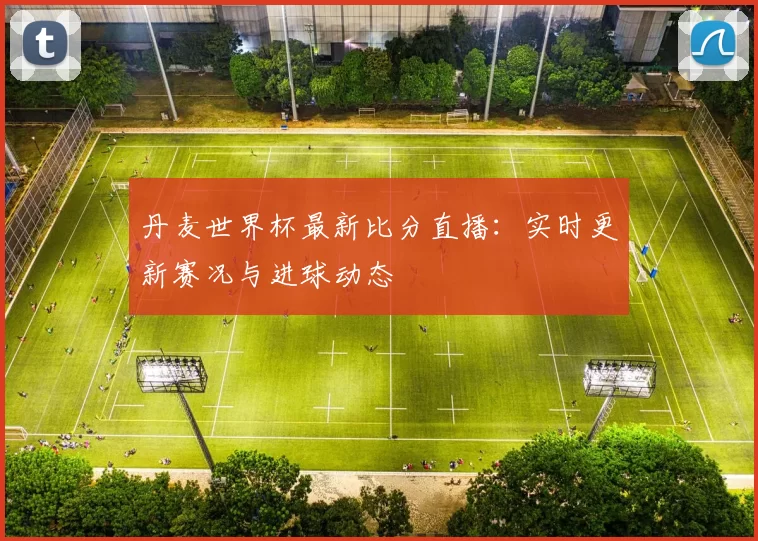 丹麦世界杯最新比分直播:实时更新赛况与进球动态