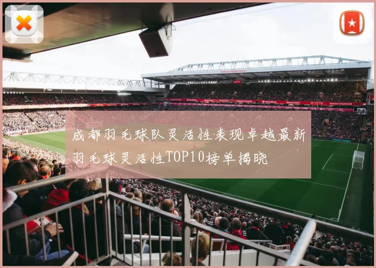 成都羽毛球队灵活性表现卓越最新羽毛球灵活性TOP10榜单揭晓