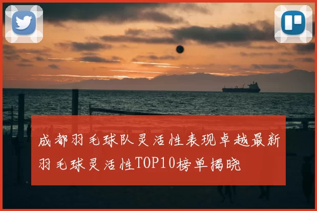 成都羽毛球队灵活性表现卓越最新羽毛球灵活性TOP10榜单揭晓