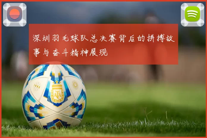深圳羽毛球队总决赛背后的拼搏故事与奋斗精神展现